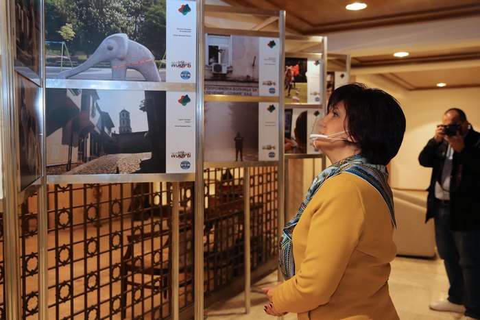 Бившата депутатка от Кърджали и бивш председател на парламента Цвета